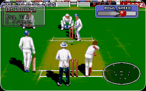 Allan Border\'s Cricket / Brian Lara\'s Cricket / Jonty Rhodes II Cricket