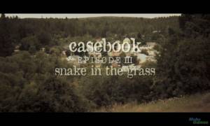 Casebook: Episode III - Snake in the Grass