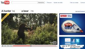 A hunter shoots a bear