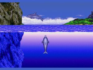 Ecco The Dolphin